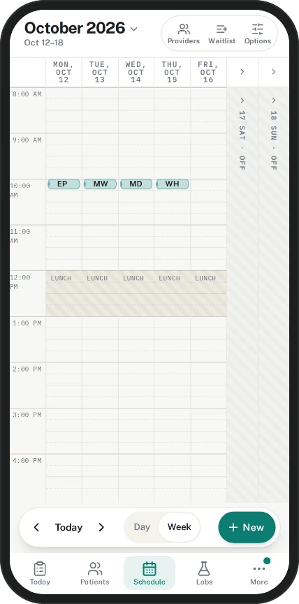 Phone screen of the Triad week schedule for October 12 to 18, 2026, with Today, Day or Week, and a New button docked at the bottom above the tab bar.